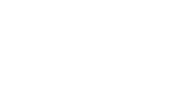 white nisi logo.png