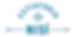 blue nisi logo.png