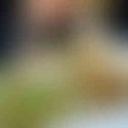 Sala and Grilled Chicken