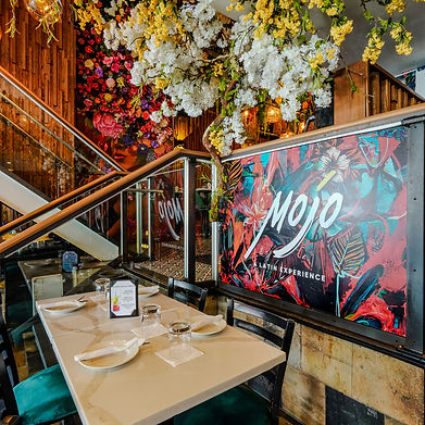 Mojo interior_edited.jpg