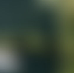 Estudio: Los consumidores de cannabis tienen mayor probabilidad de sufrir un ataque cardiaco