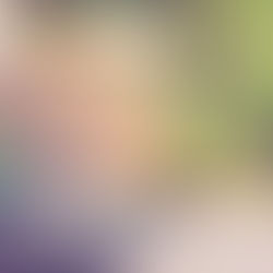 Imacec de diciembre tuvo una caída del 0,4% respecto al año anterior