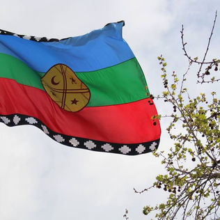 Conflicto Mapuche: 39% de los encuestados está a favor de declarar Estado de Sitio en La Araucanía