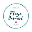 Logo Playa Caracol_edited.png