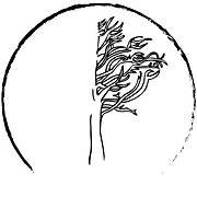 Logo de Indigone Jeans