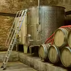 Boulevard Napoleon winery