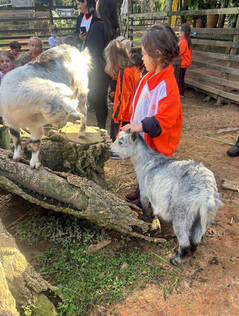 Animais Estudo do Meior Nova escola