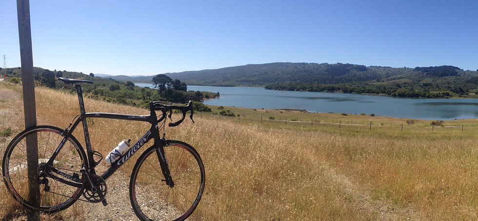 Wilier at Reservoir
