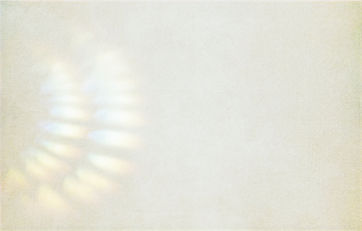 Faded Sandpaper_edited_edited.jpg