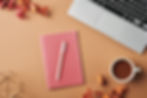 Copybook_With_Pink_Cover_In_The_Center_Of_Composition_Consisting_Of_Supplies_original_3641