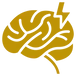 brain icon.webp
