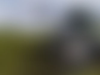 Erntetechnikvorführung "Hyler Sativa 200"