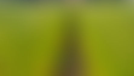 𝗨𝗻𝘁𝗲𝗿𝗻𝗲𝗵𝗺𝗲𝗻𝘀𝗿𝗲𝗶𝘀𝗲 „𝗙𝗮𝘀𝗲𝗿𝗽𝗳𝗹𝗮𝗻𝘇𝗲𝗻“ 𝗻𝗮𝗰𝗵 𝗕𝗲𝗹𝗴𝗶𝗲𝗻 & 𝗙𝗿𝗮𝗻𝗸𝗿𝗲𝗶𝗰𝗵 𝗶𝗻 𝗣𝗹𝗮𝗻𝘂𝗻𝗴