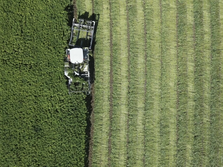 Marktstudie zur Naturfaserbranche in Deutschland und Europa