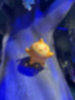 Wish (Disney Store)
