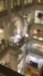 Selfrides Atrium Display