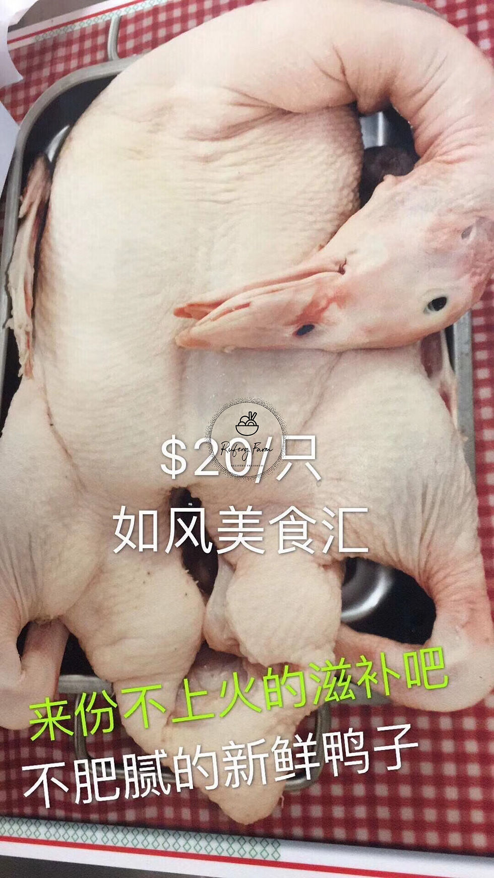 北京鸭