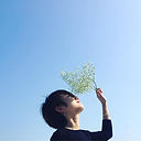 INNER SEARCH