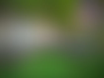 What to Expect from a Property Management Company