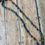縮圖：2/0 Aged Green Velvet Striped Seed Beads