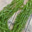 Thumbnail: 4-5mm Square Peridot Heishi, 16 Inch Strand
