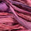 Miniature : Deep Pinks & Purple Recycled Sari Silk Ribbon (by the yard)