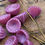 縮圖：Opaque Purple Pink Vintage Lampwork Cone Blossom, Long Pin