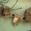 縮圖：30-40 x 15-20mm Garden Quartz Point Lot