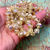 Миниатюра: 9mm CenterCut Ivory w Silver & AB Finishes