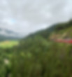A Swiss train crossing through the hills