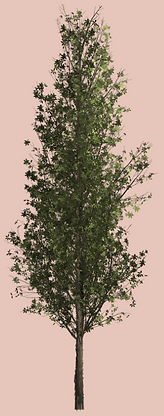 Screen Shot 2022-12-20 at 5.53.35 PM.png