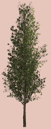 Screen Shot 2022-12-20 at 5.53.35 PM.png