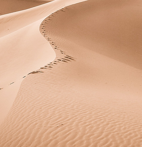 Dune de sable