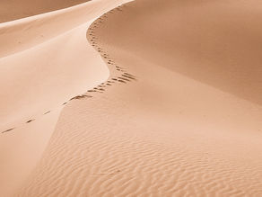 Every Data Journey Starts With a Step