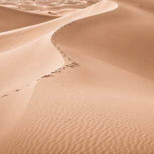 Sand Dune