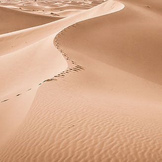 Sand Dune 