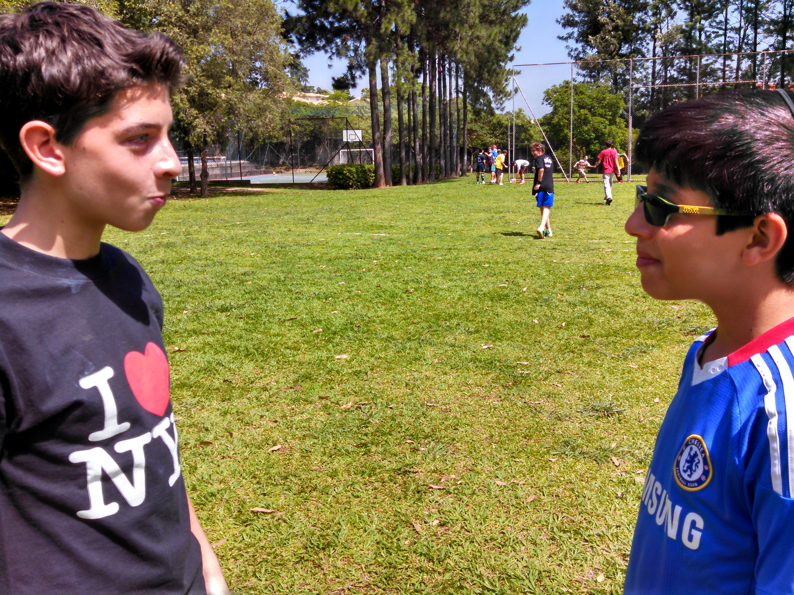Jogo dos sucos