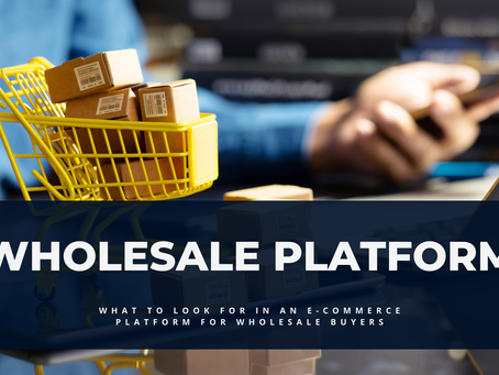 Choosing an E-Commerce Platform for Wholesale Buyers