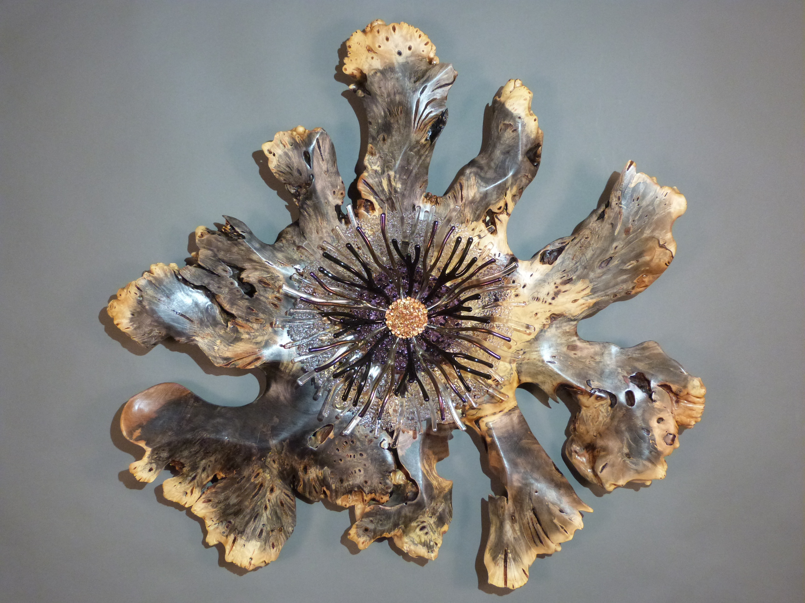 'Buckeye Bloom'