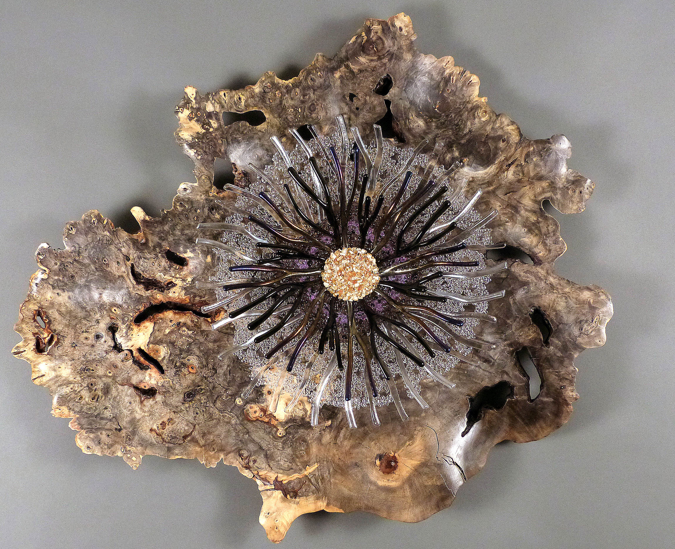 'Winter Bloom'