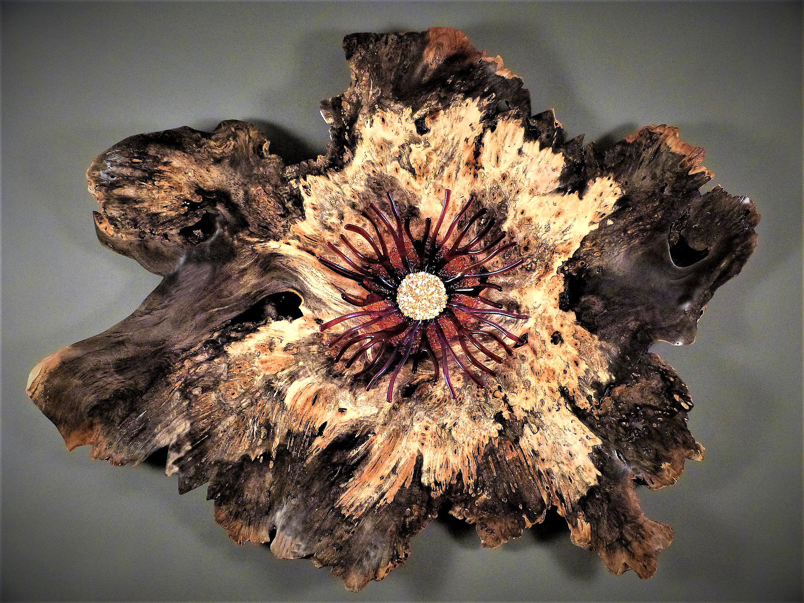 Midnight Bloom