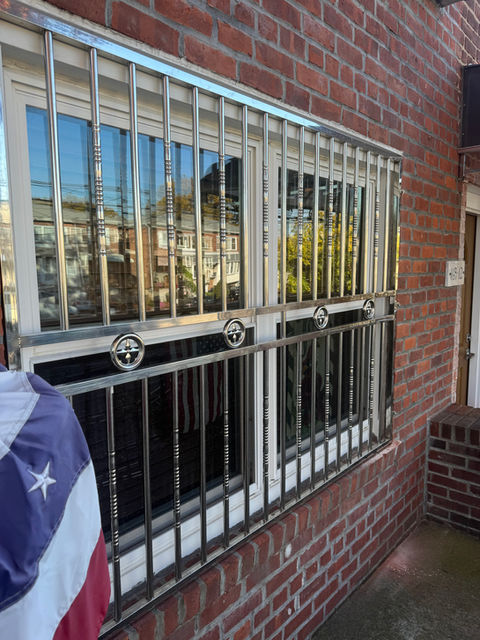 Window Guard Stainless Steel
