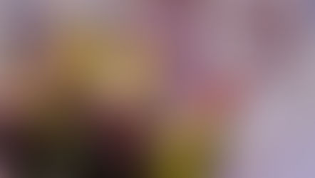 LU PSK izlaidumu grafiks 2017/2018