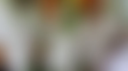 LU PSK 2018./ 2019. studiju gada atklāšana