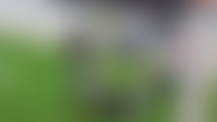 Pasaules Sirds dienas 2021 aktivitātes LU PSK