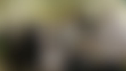 Aizvadīts “Erudīts 2017”