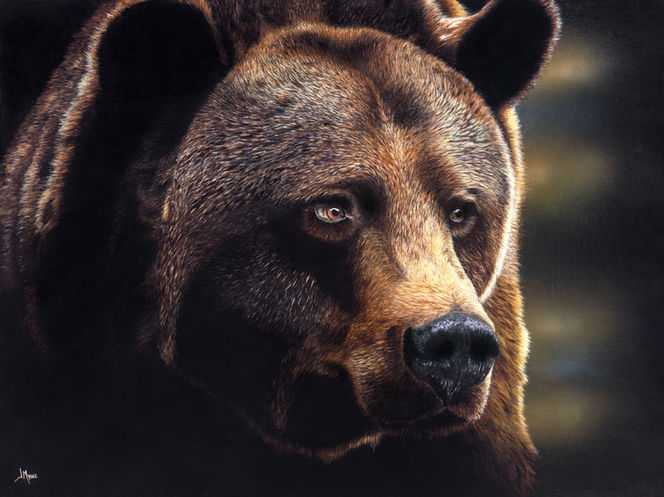 Grizzly bathed in soft shadow and warm light, with a thoughtful, soulful expression. Hyperrealistic acrylic painting.