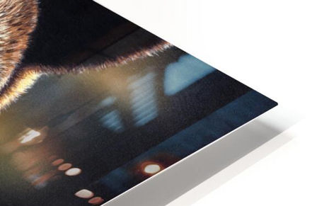 Close-up corner of ‘Out of Darkness,’ bear artwork, as an HD glossy metal print.