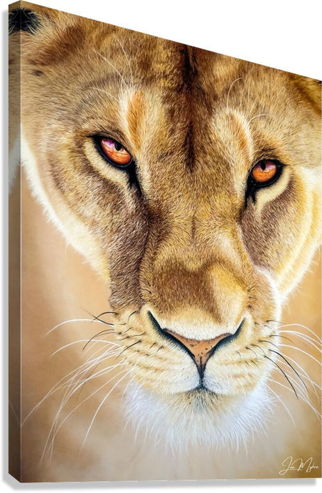 Mockup of ‘Power,’ a lioness canvas print in side view, hanging on a white wall.