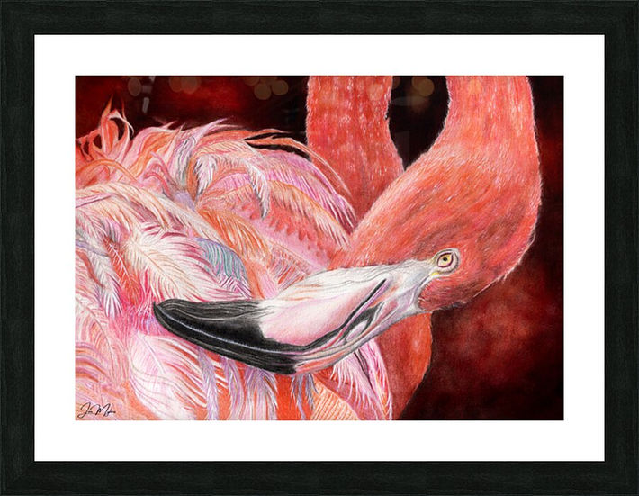 'FeatherBorne' a pink flamingo canvas print 